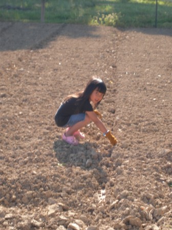 Kasen planting seeds in the garden